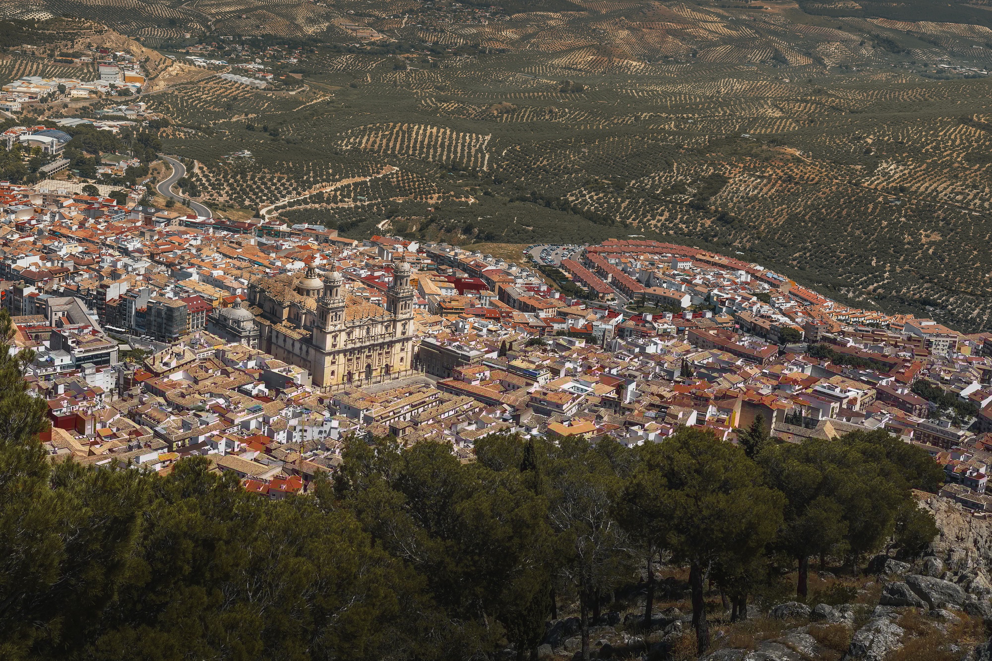 Trayecto a Jaén